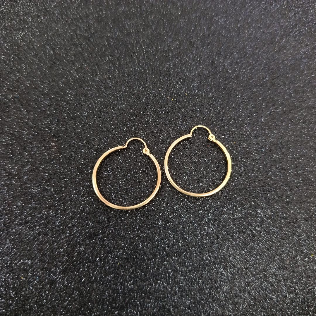 ARRACADAS PAR ORO 10 K 2.2 GRMS (SEMINUEVO)