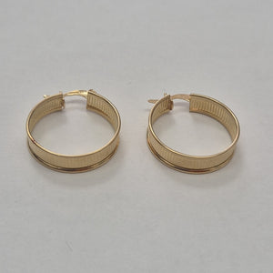 ARRACADAS PAR ORO 10 K 4,60 GRMS (SEMINUEVO)