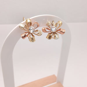 ARETES PAR ORO 10 K 2.6 GRMS (SEMINUEVO)