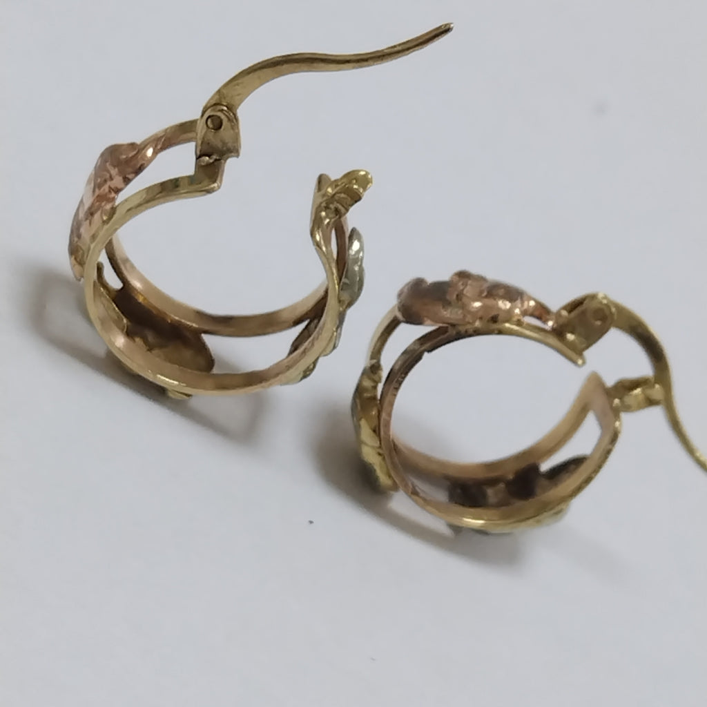 ARETES PAR ORO 10 K 3,30 GRMS (SEMINUEVO)