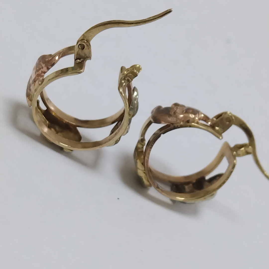 ARETES PAR ORO 10 K 3,30 GRMS (SEMINUEVO)