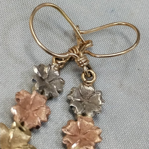 ARETES PAR ORO 10 K 3,20 GRMS (SEMINUEVO)