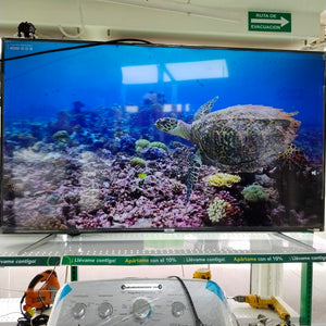 PANTALLA TCL 65A445 (2021) 65" LED 4K (SEMINUEVO)