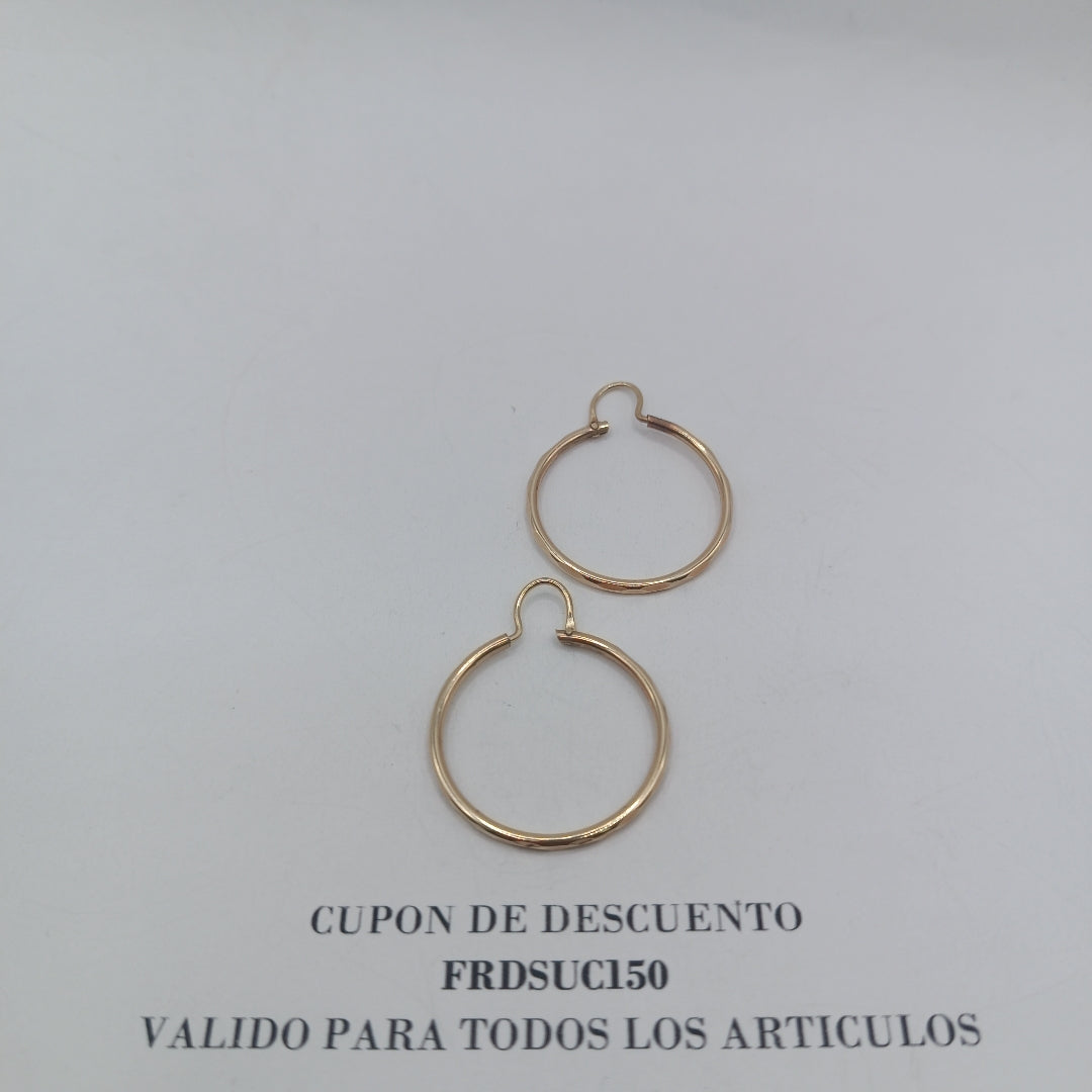 ARRACADAS PAR ORO 10 K 2 GRMS (SEMINUEVO)