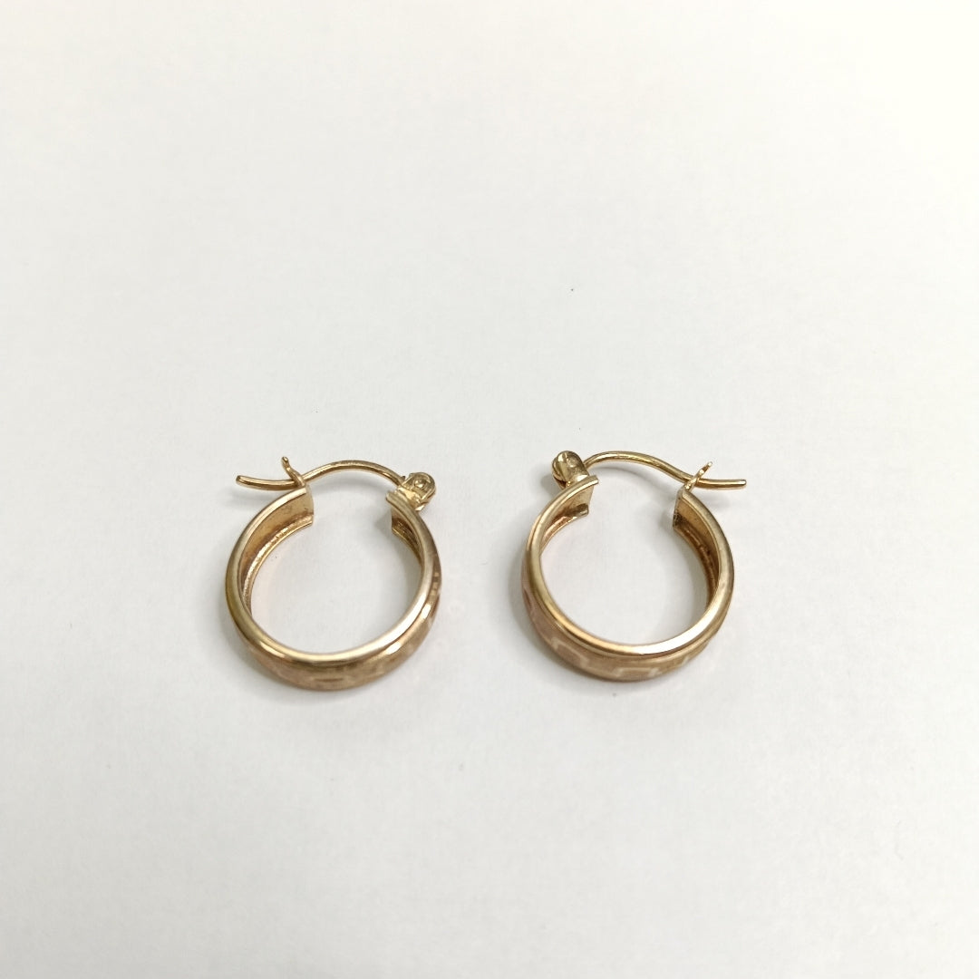 ARRACADAS PAR ORO 10 K 1.6 GRMS (SEMINUEVO)