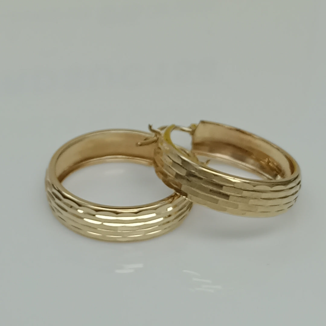 ARRACADAS PAR ORO 10 K 2.8 GRMS (SEMINUEVO)