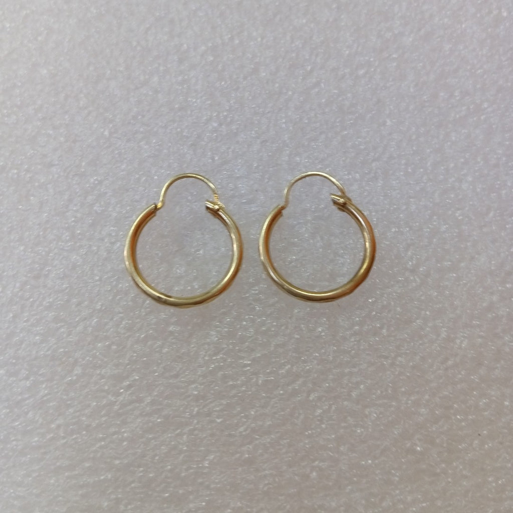 ARETES PAR ORO 10 K 1.1 GRMS (SEMINUEVO)