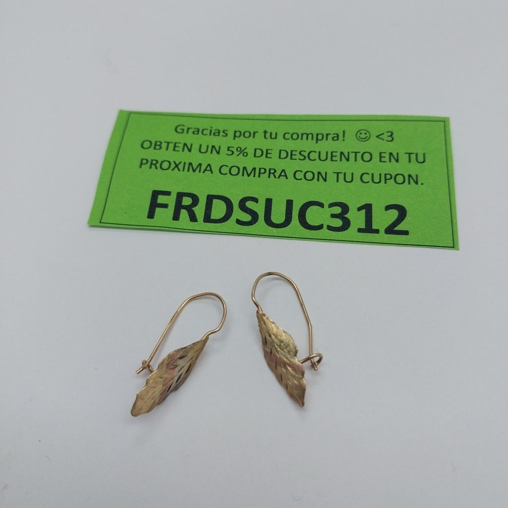 ARETES PAR ORO 10 K 0.8 GRMS (SEMINUEVO)