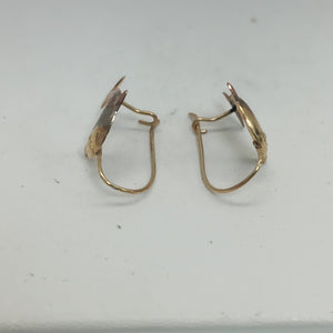 ARETES PAR ORO 10 K 0,70 GRMS (SEMINUEVO)
