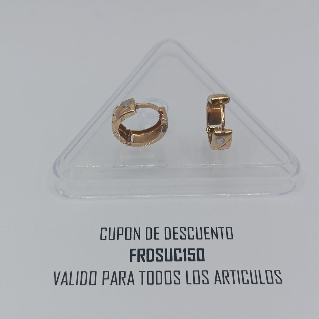 ARETES PAR ORO 10 K 1.8 GRMS (SEMINUEVO)