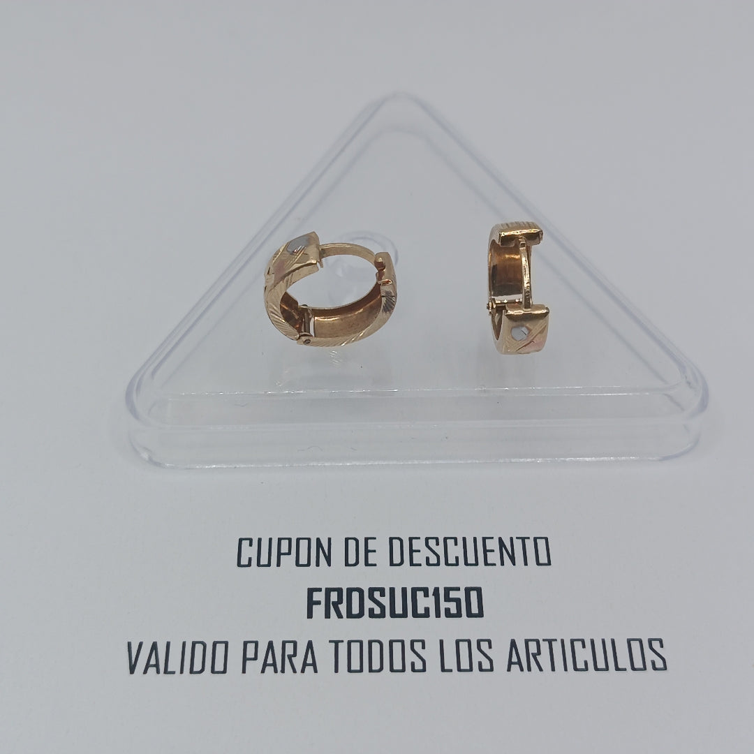 ARETES PAR ORO 10 K 1.8 GRMS (SEMINUEVO)