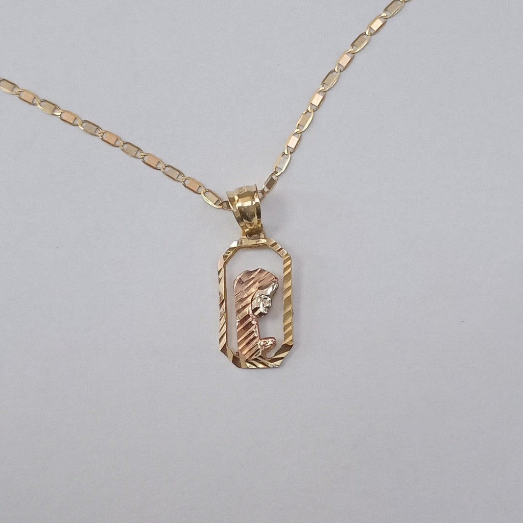 CADENA, DIJE ORO 14 K 2.5 GRMS (SEMINUEVO)