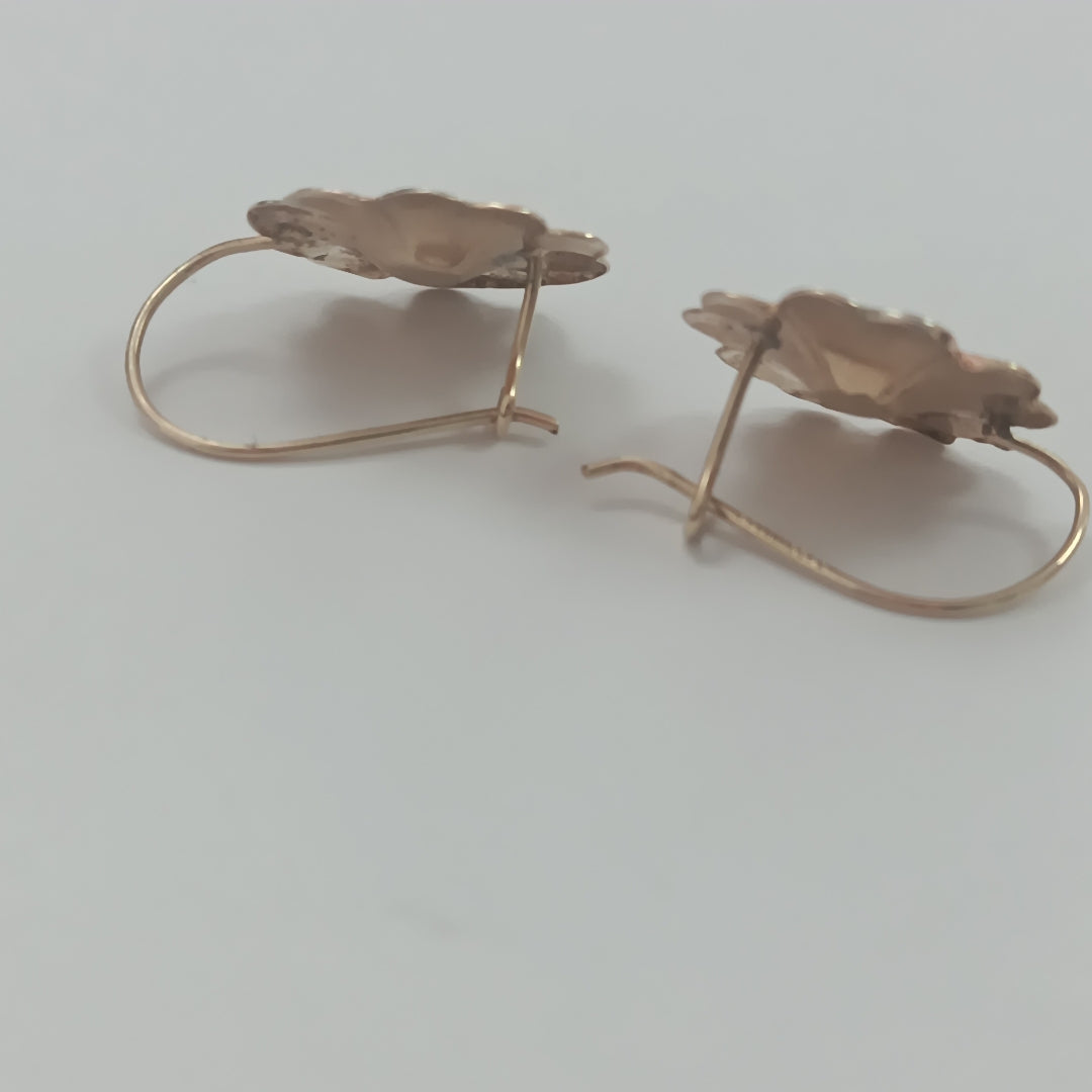ARETES PAR ORO 10 K 1.2 GRMS (SEMINUEVO)