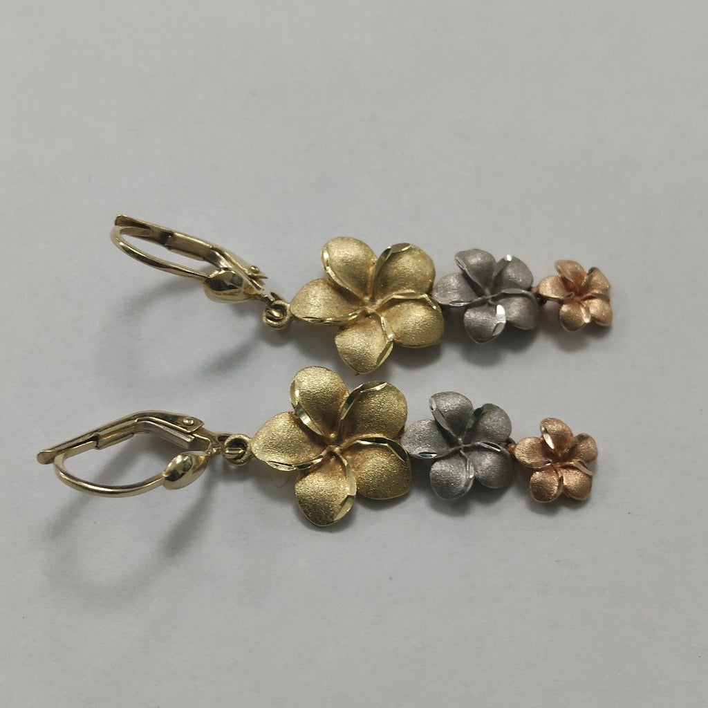 ARETES PAR ORO, ORO COMBINADO 14 K 4 GRMS (SEMINUEVO)