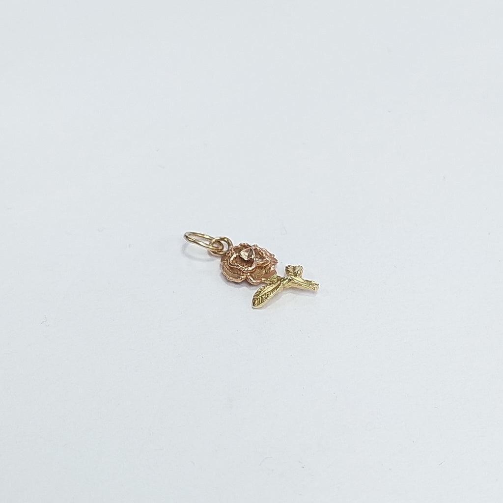 DIJE ORO 14 K 0,70 GRMS (SEMINUEVO)