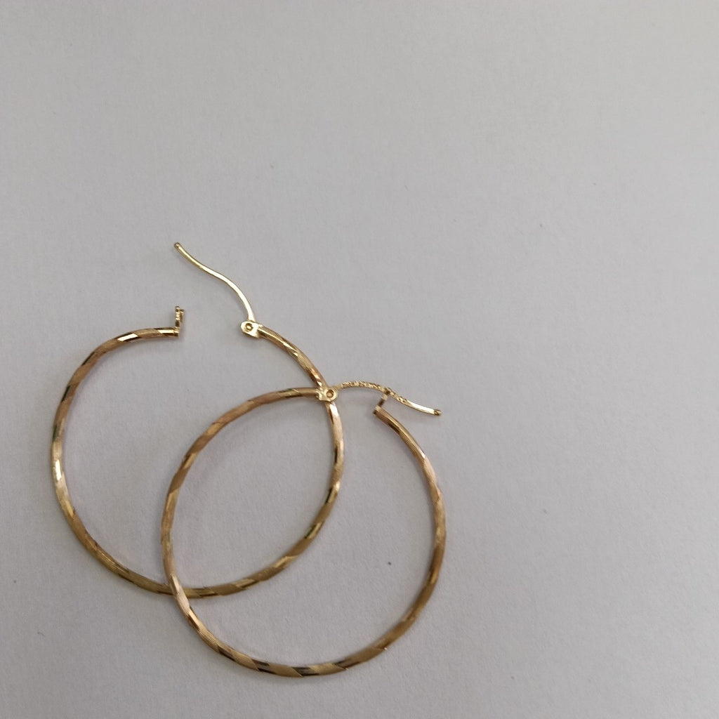 ARRACADAS PAR ORO 10 K 2,40 GRMS (SEMINUEVO)