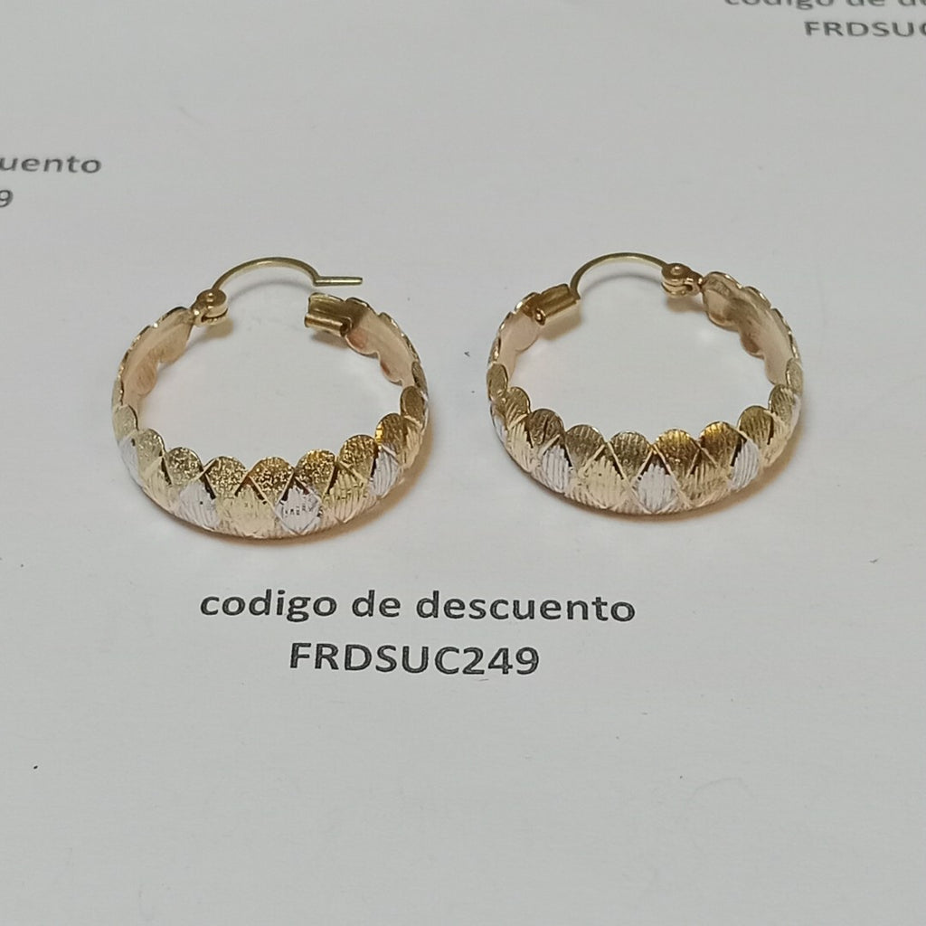 ARRACADAS PAR ORO 10 K 3.6 GRMS (SEMINUEVO)