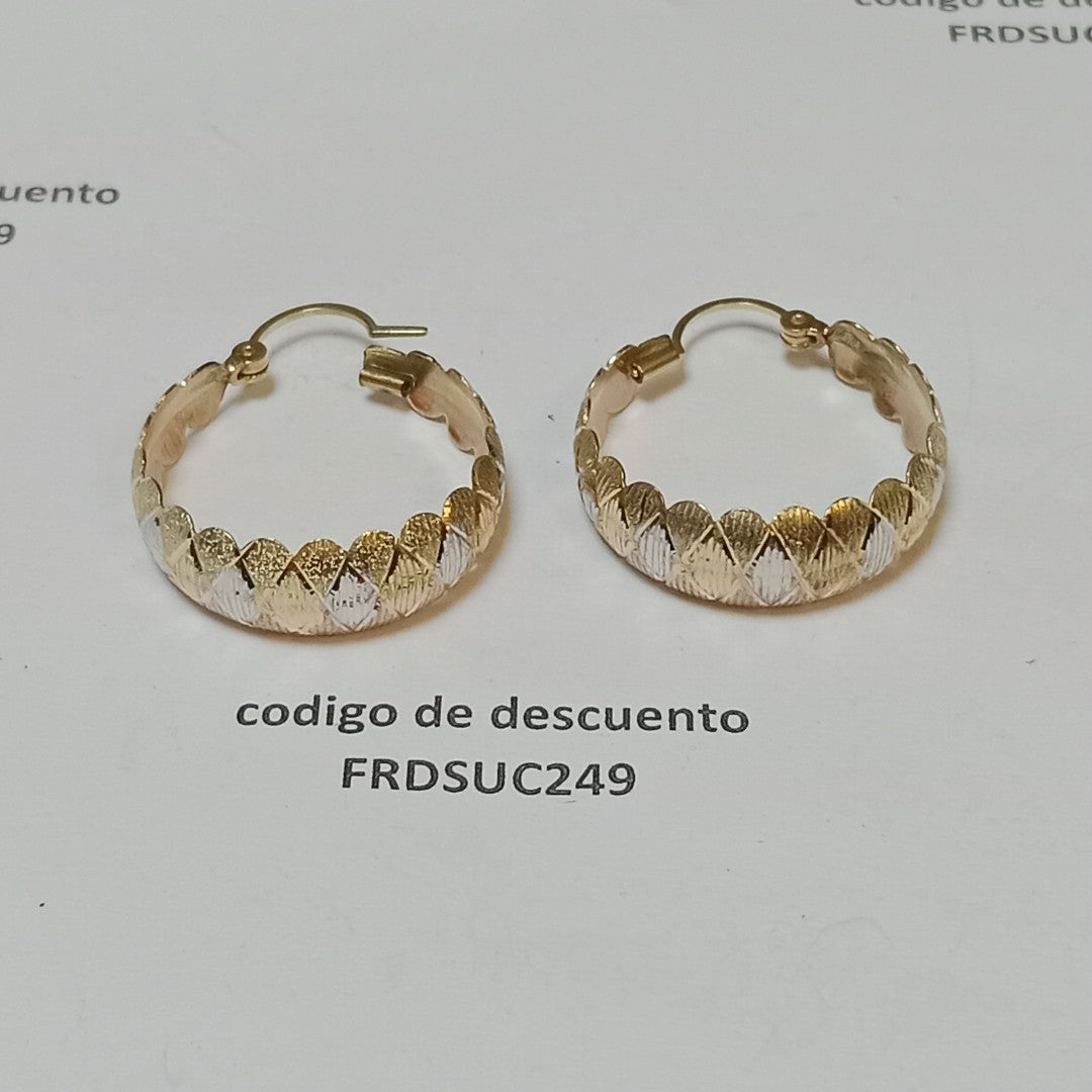 ARRACADAS PAR ORO 10 K 3.6 GRMS (SEMINUEVO)