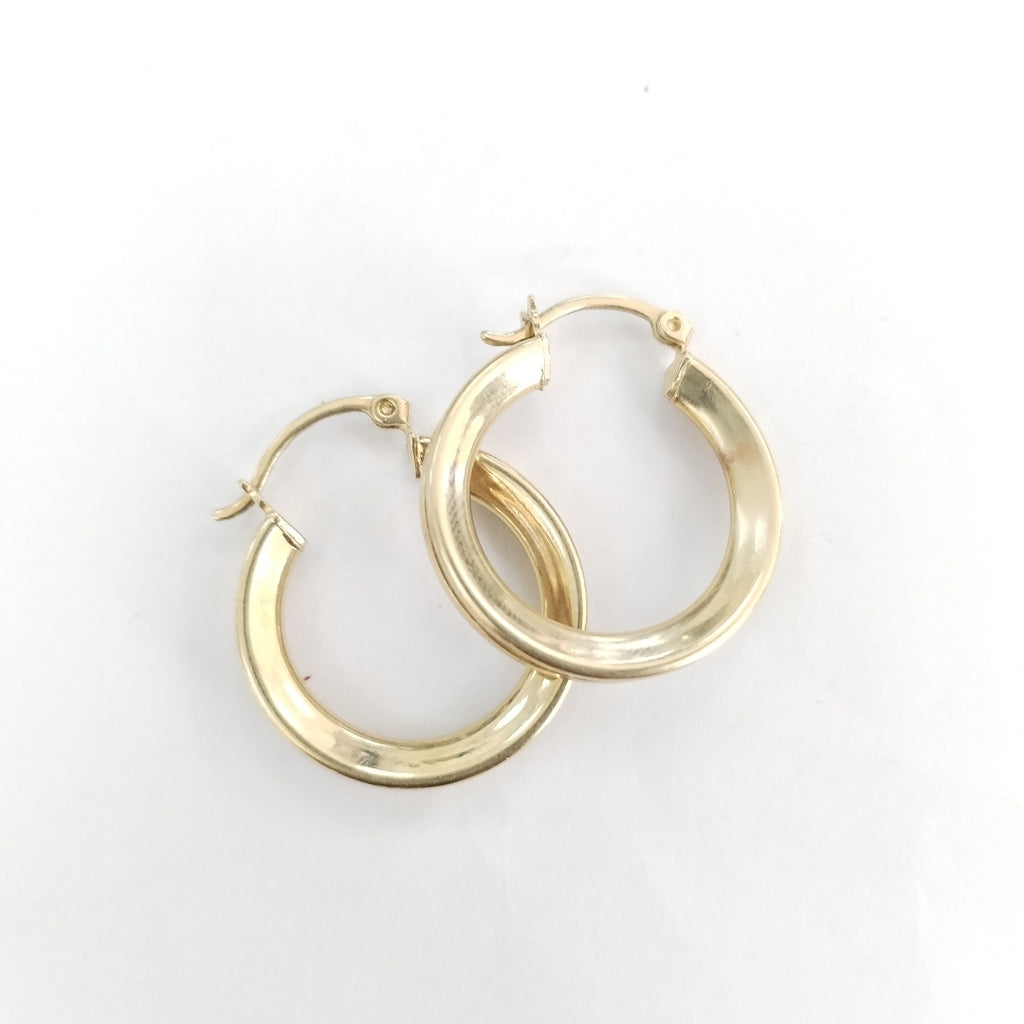 ARRACADAS PAR ORO 10 K 4,50 GRMS (SEMINUEVO)