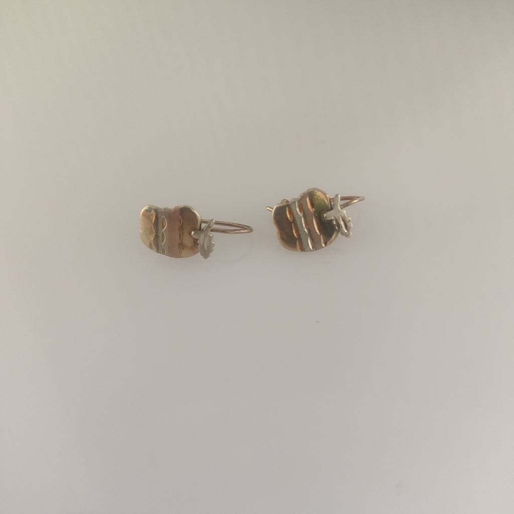 ARETES PAR ORO 10 K 1,00 GRMS (SEMINUEVO)