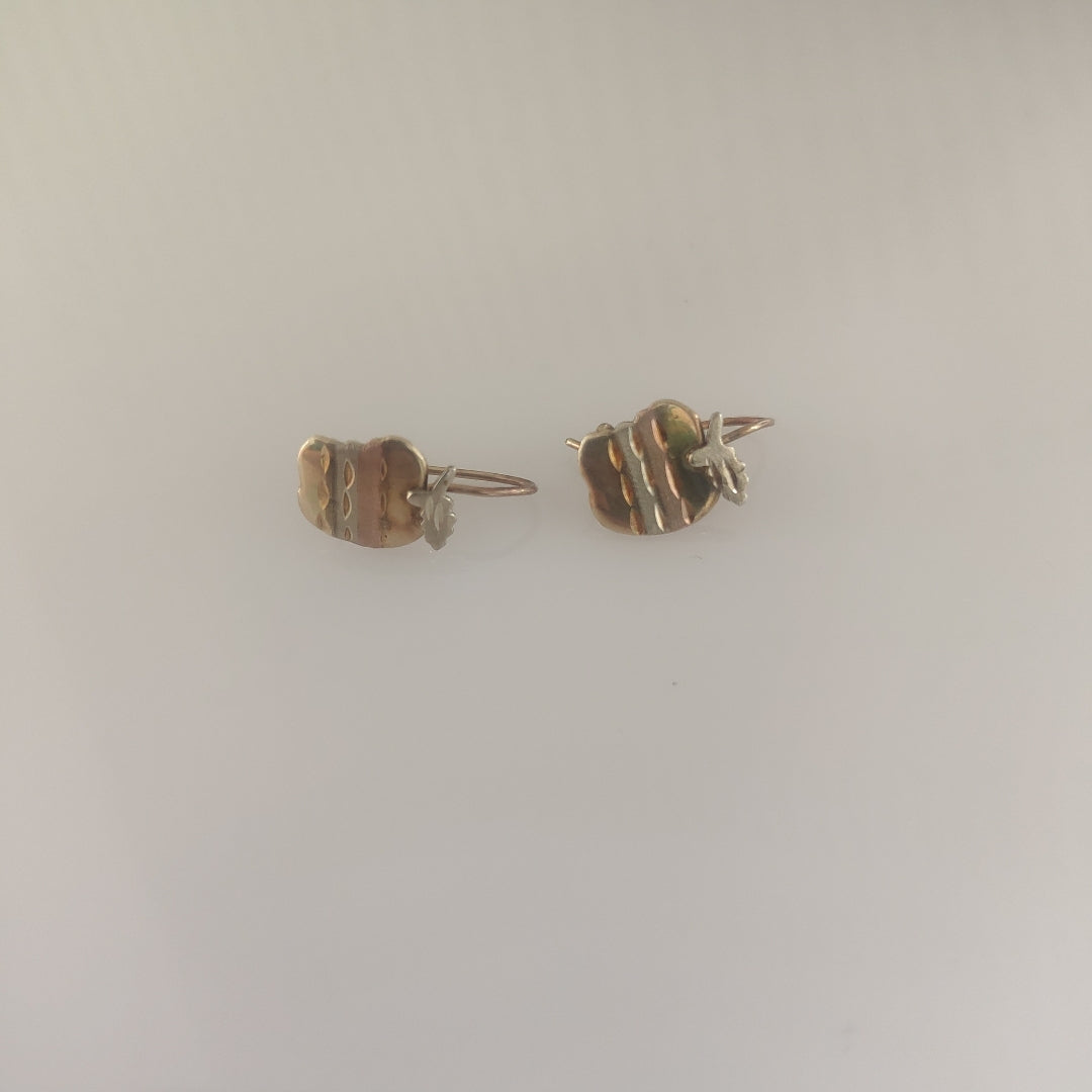 ARETES PAR ORO 10 K 1,00 GRMS (SEMINUEVO)