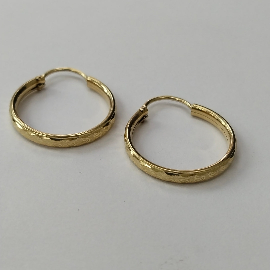 ARRACADAS PAR ORO 10 K 1.4 GRMS (SEMINUEVO)