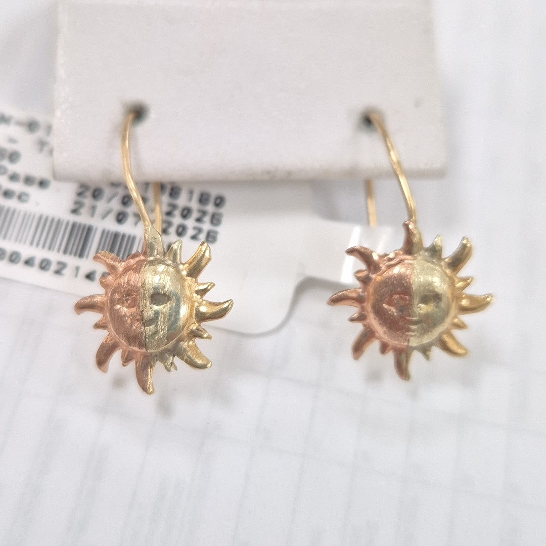 ARETES PAR ORO 10 K 1,00 GRMS (SEMINUEVO)