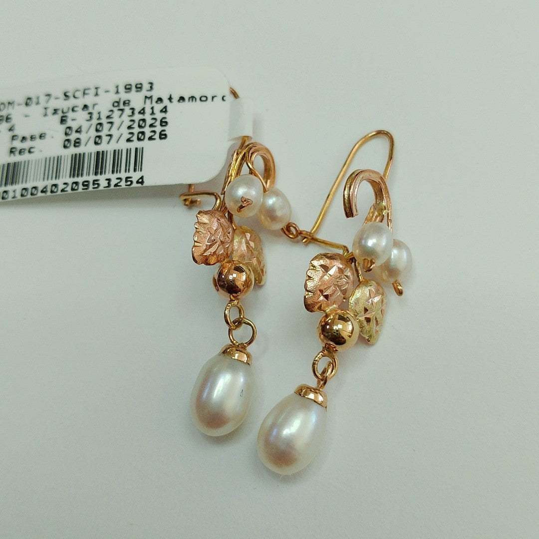 ARETES PAR ORO 10 K 2.7 GRMS (SEMINUEVO)