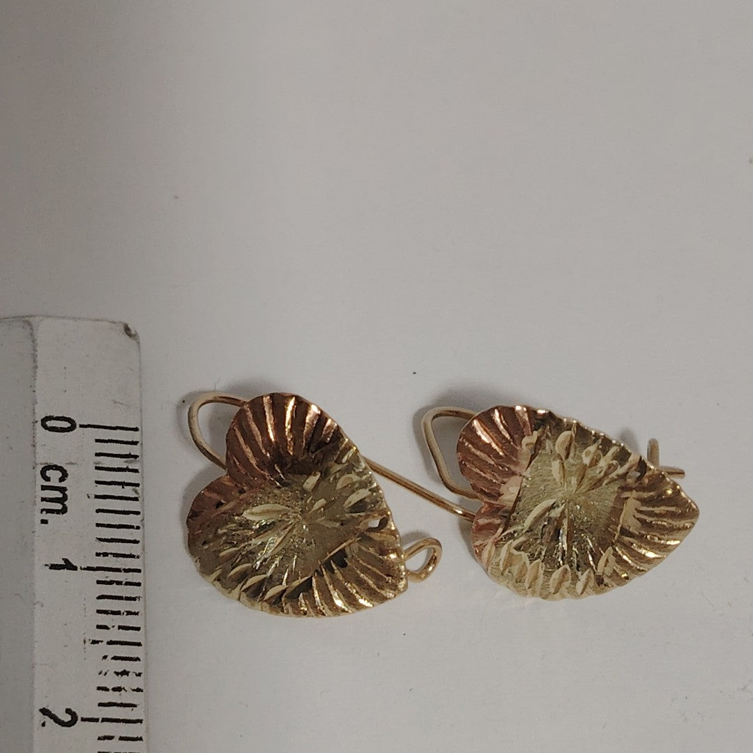 ARETES PAR ORO COMBINADO 10 K 1,40 GRMS (SEMINUEVO)