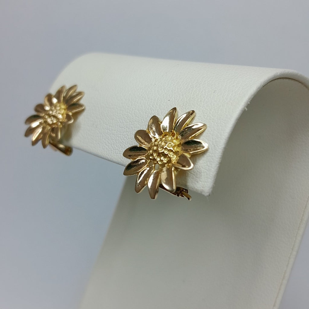 ARETES PAR ORO 10 K 3.4 GRMS (SEMINUEVO)