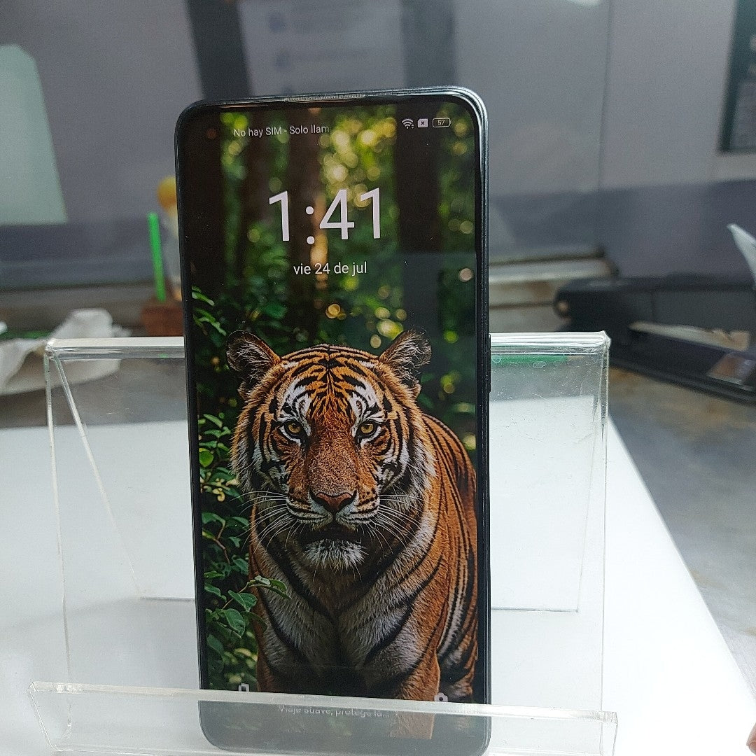 CELULAR OTRAS MARCAS OTROS MODELOS 256 GB 8 GB RAM (SEMINUEVO)