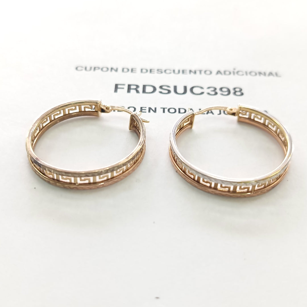 ARRACADAS PAR ORO,ORO COMBINADO 10 K 4,30 GRMS (SEMINUEVO)