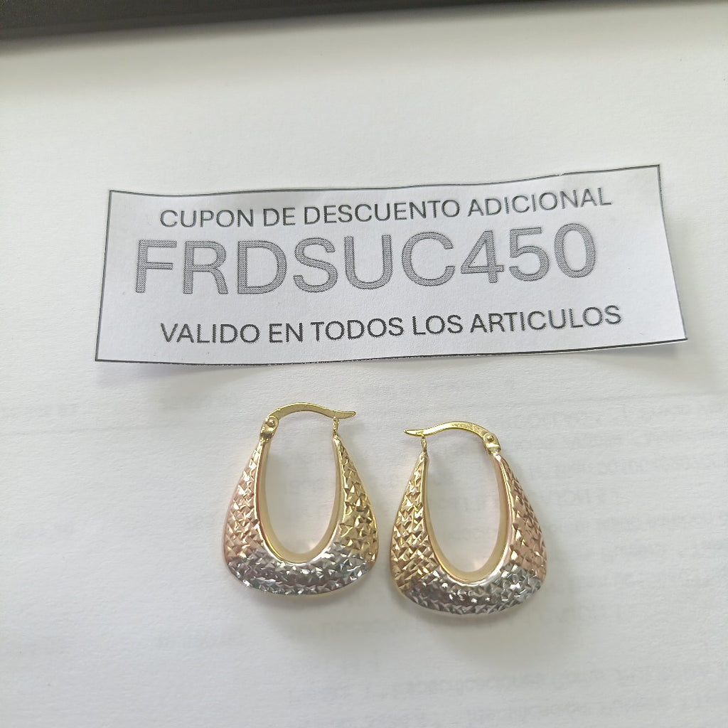 ARETES PAR ORO 10 K 2,60 GRMS (SEMINUEVO)
