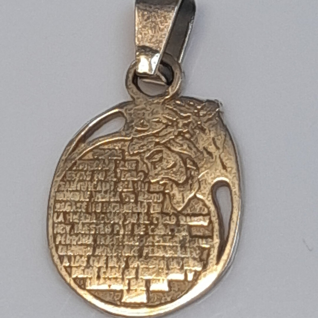 DIJE ORO 10 K 2.8 GRMS (SEMINUEVO)