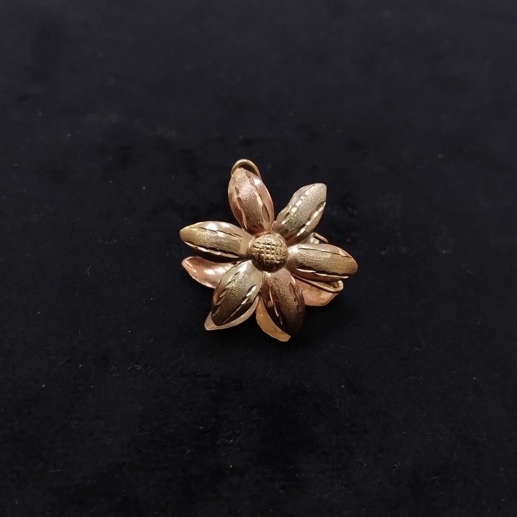 ARETES PAR ORO 10 K 3.4 GRMS (SEMINUEVO)
