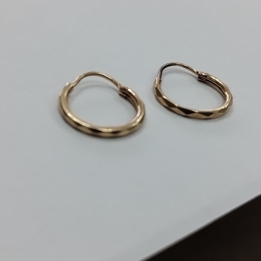 ARRACADAS PAR ORO 10 K 0.8 GRMS (SEMINUEVO)