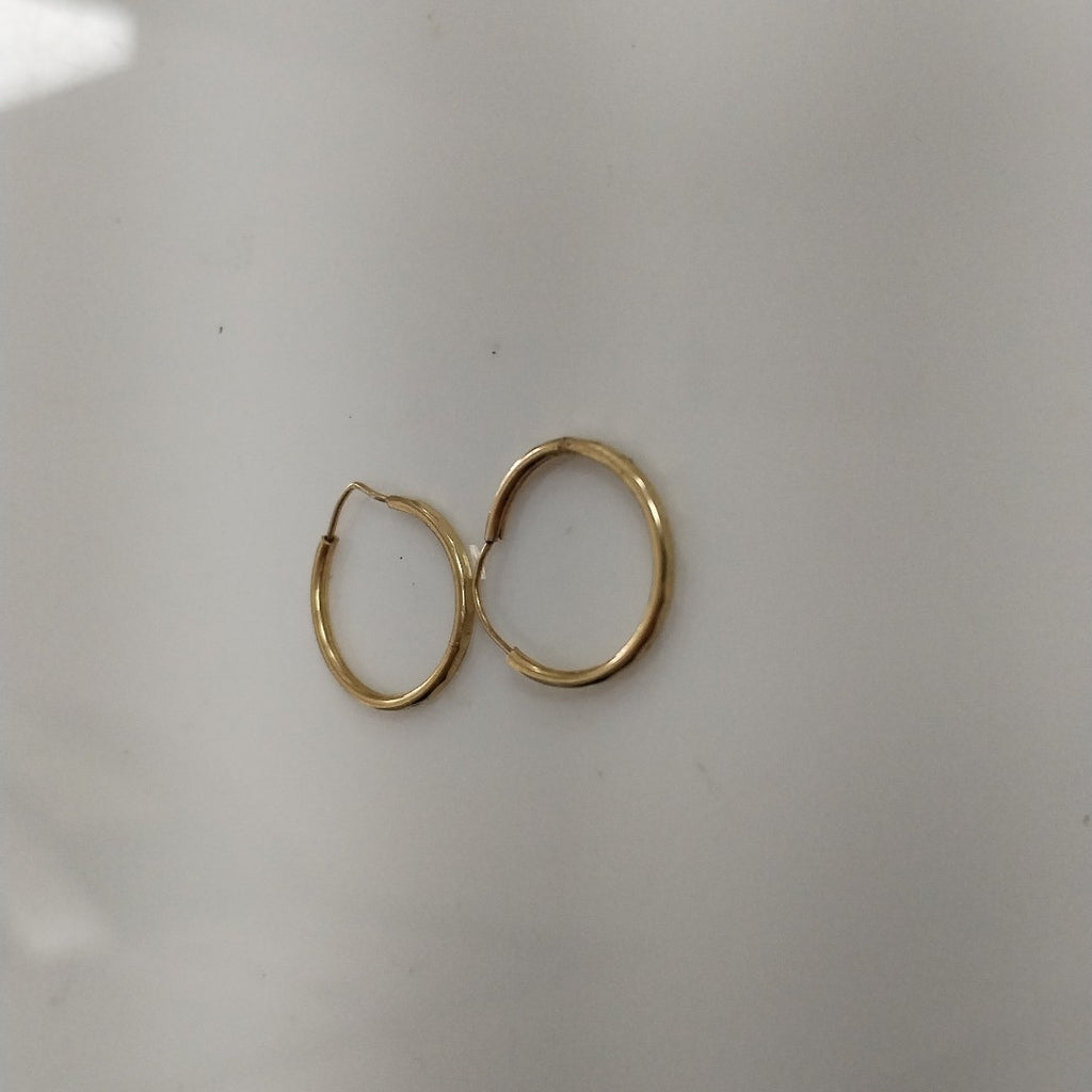 ARRACADAS PAR ORO 10 K 0.7 GRMS (SEMINUEVO)