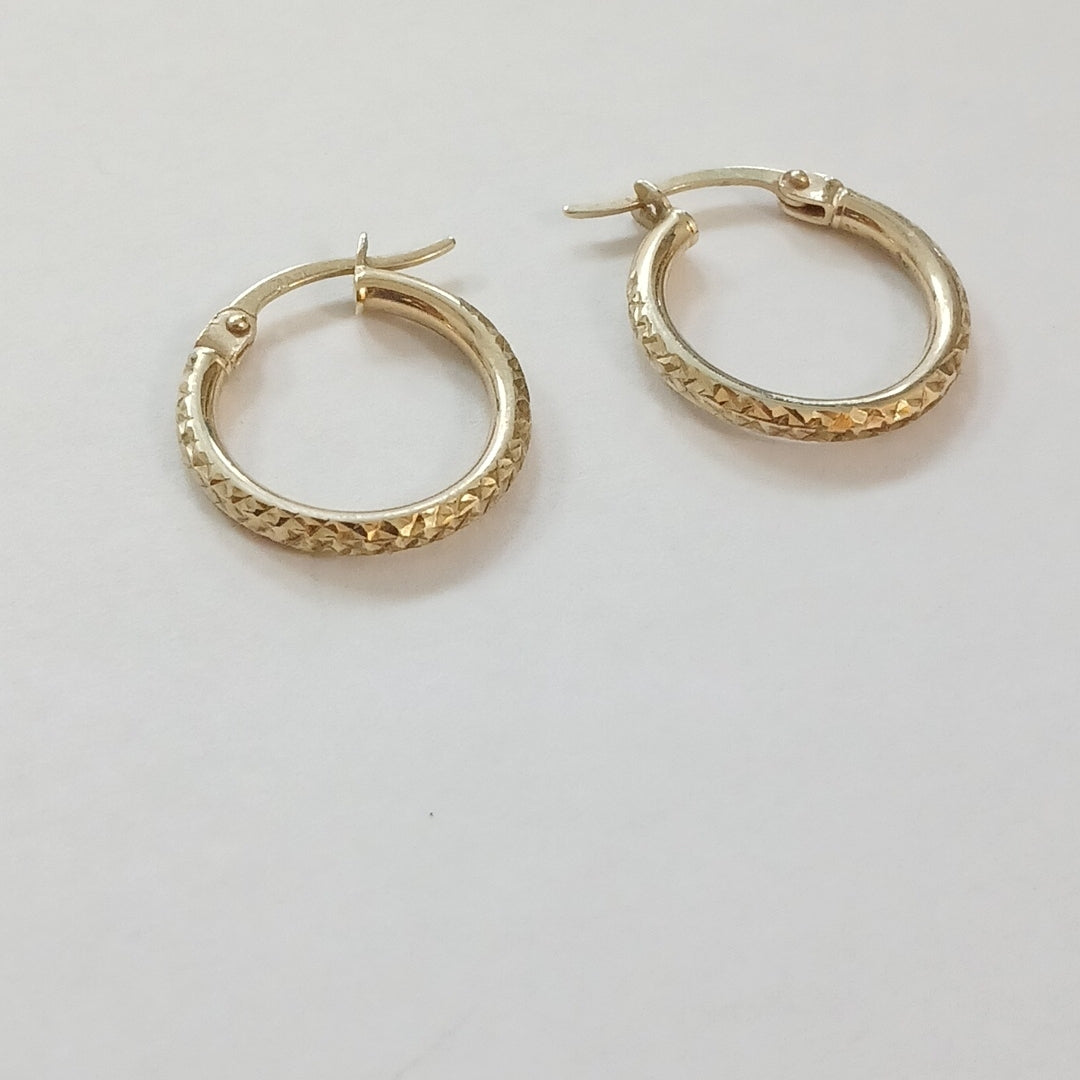 ARRACADAS PAR ORO 10 K 1 GRMS (SEMINUEVO)