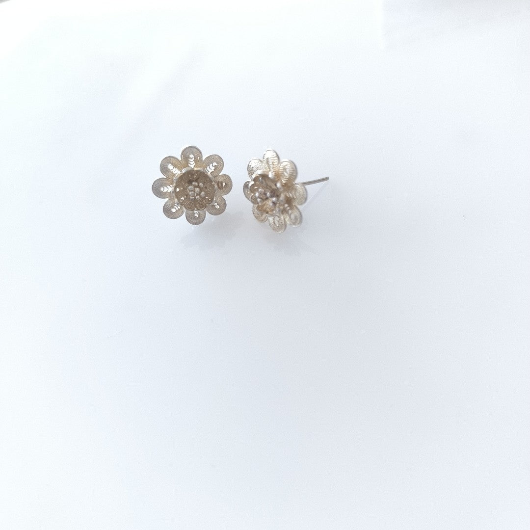 BROQUELES PAR PLATA 3,90 GRMS (SEMINUEVO)