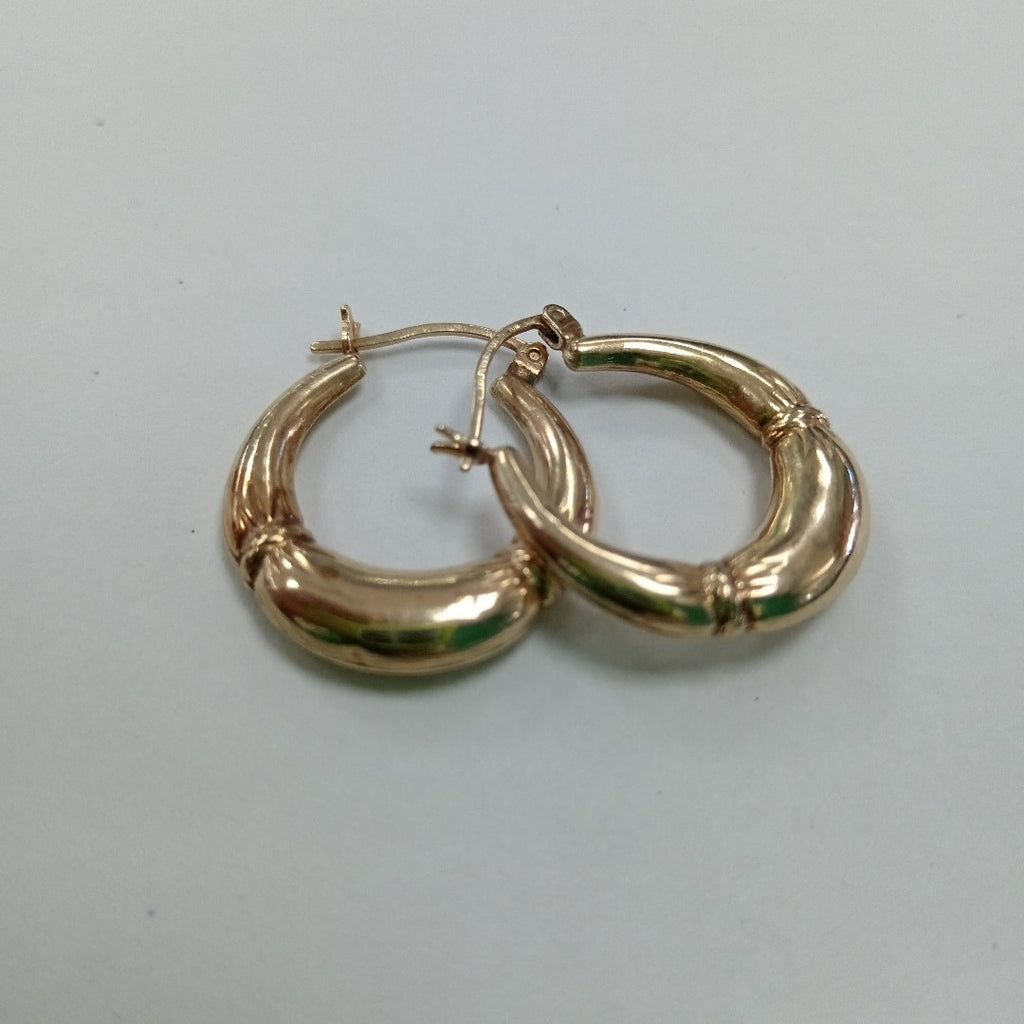 ARRACADAS PAR ORO 10 K 2.5 GRMS (SEMINUEVO)