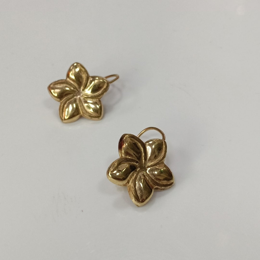 ARETES PAR ORO 10 K 1.5 GRMS (SEMINUEVO)