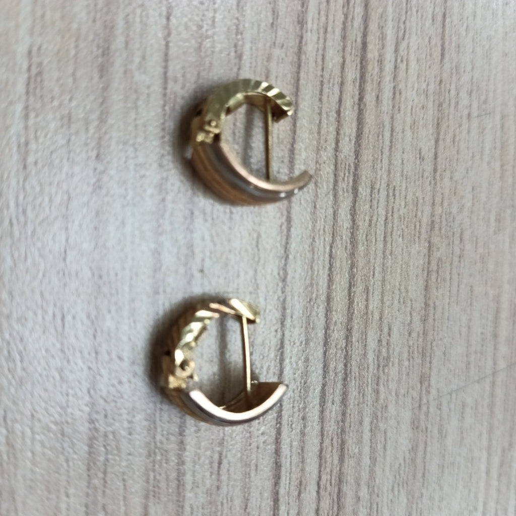 ARETES PAR ORO 10 K 2,10 GRMS (SEMINUEVO)