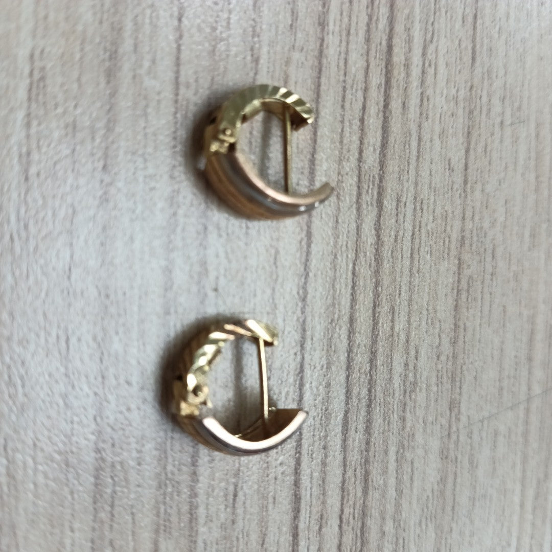 ARETES PAR ORO 10 K 2,10 GRMS (SEMINUEVO)
