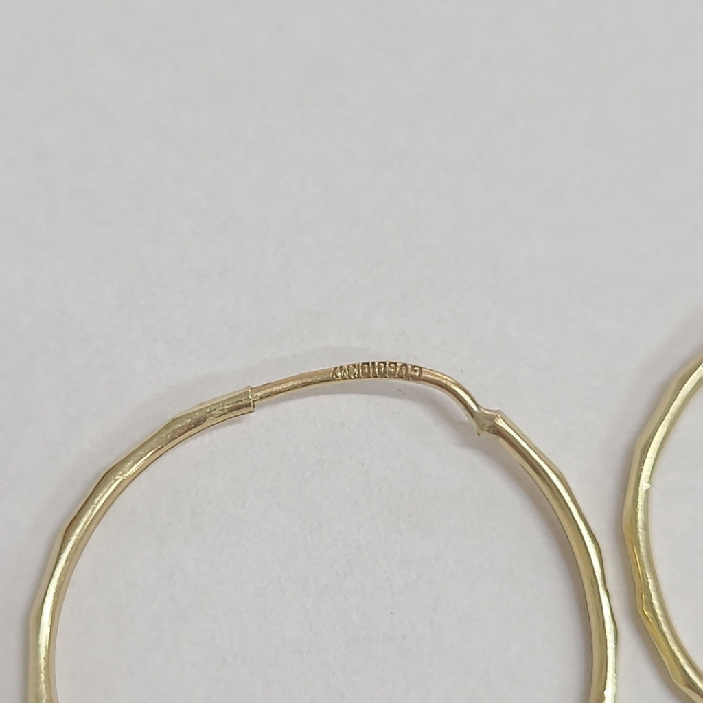ARETES PAR ORO 10 K 1.2 GRMS (SEMINUEVO)