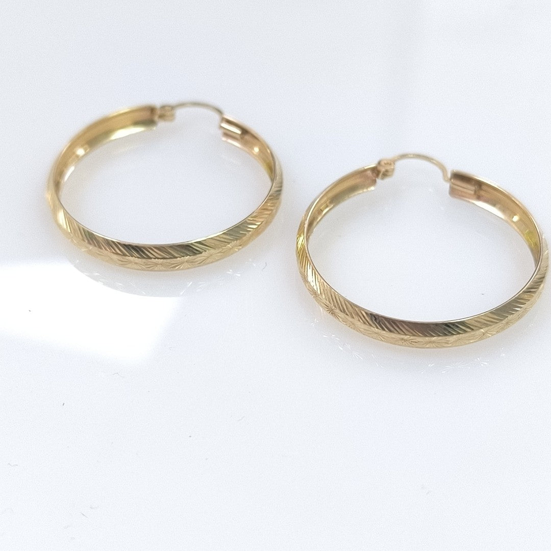 ARRACADAS PAR ORO 10 K 3.9 GRMS (SEMINUEVO)