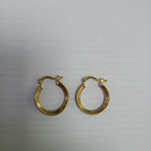 ARRACADAS PAR ORO 10 K 2,70 GRMS (SEMINUEVO)