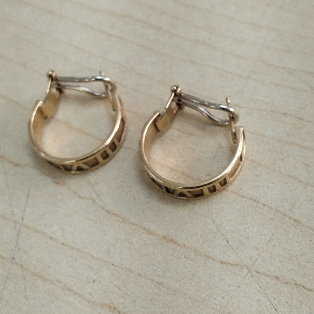 ARRACADAS PAR ORO 10 K 6,80 GRMS (SEMINUEVO)