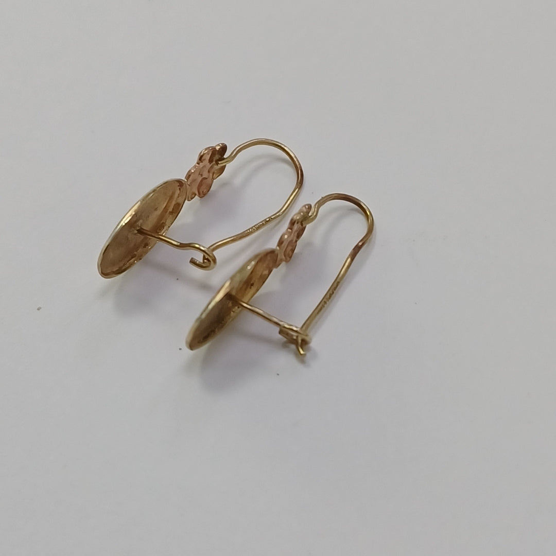 ARETES PAR ORO 10 K 1,20 GRMS (SEMINUEVO)