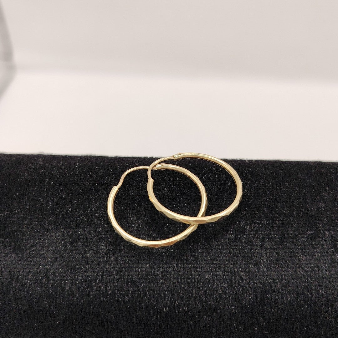 ARETES PAR ORO 10 K 1.2 GRMS (SEMINUEVO)
