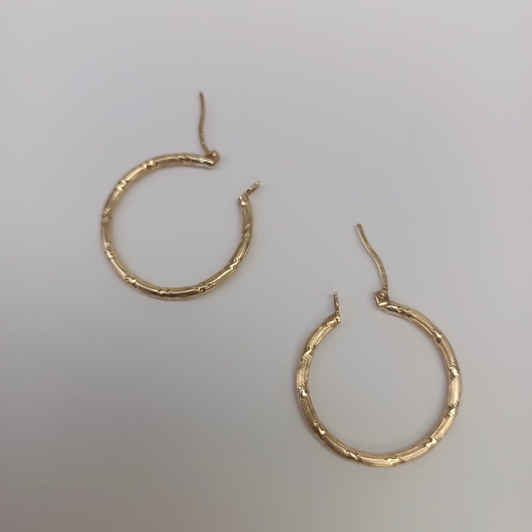 ARRACADAS PAR ORO 10 K 2,40 GRMS (SEMINUEVO)
